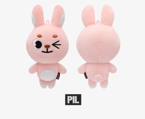 미개봉 19 필끼 윙끼 데니멀즈 원필 데이식스